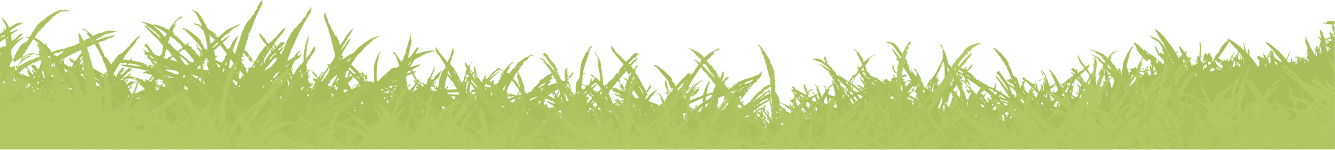 grass