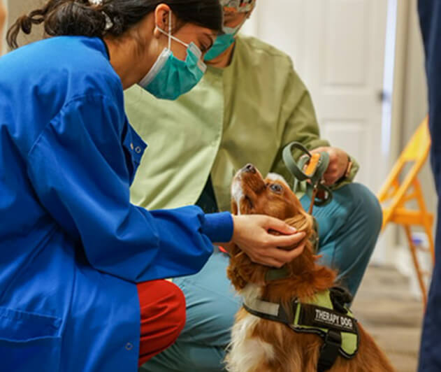 Dr. Gill holding a puppy